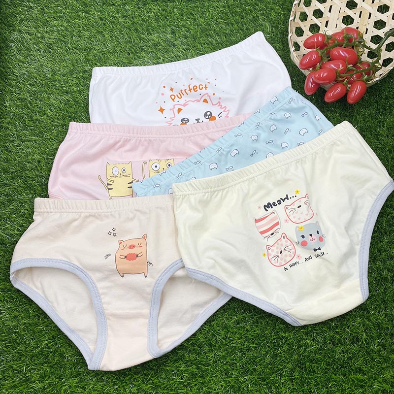 5 pcs in a pack girls briefs Underwear manufacturer preteen girl panty sets kids underwear set