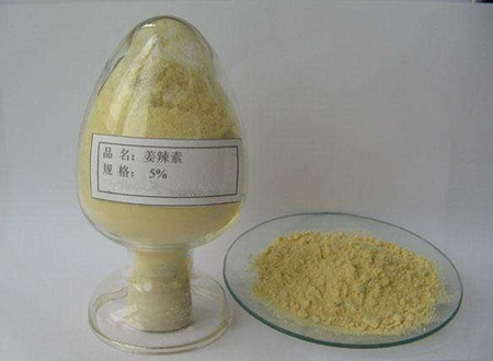 ginger extract manufacturer - ZHENYIBIO
