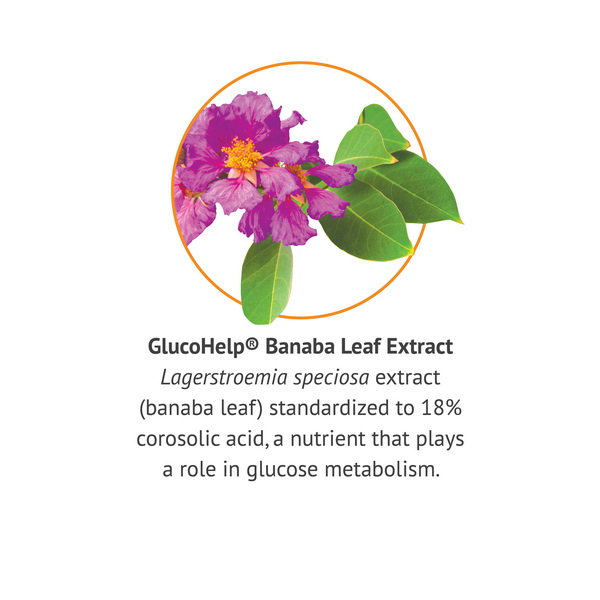 GlucoHelp バナバ葉エキスの健康上の利点とは何ですか