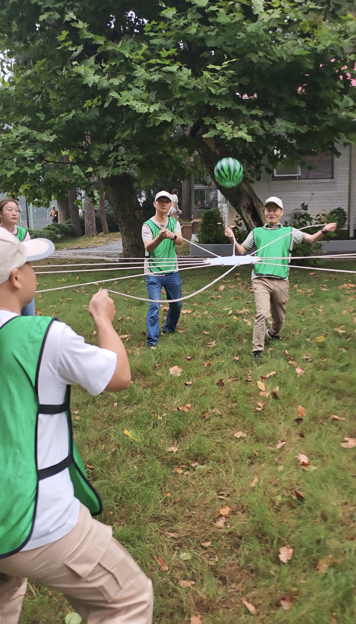 Бросить мяч