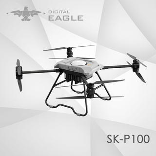 SK-P100