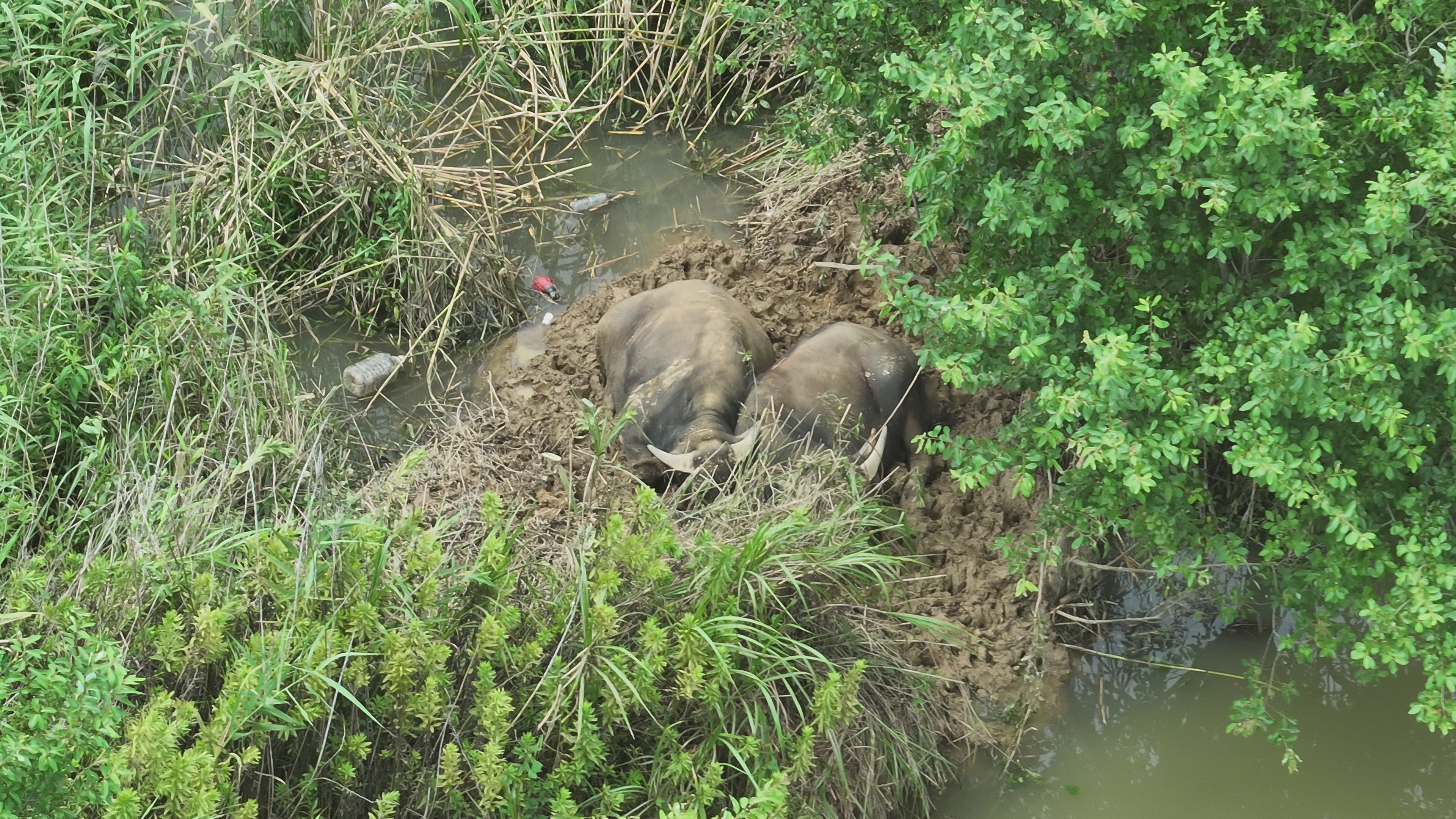 广德_2025-08-07_132050_611