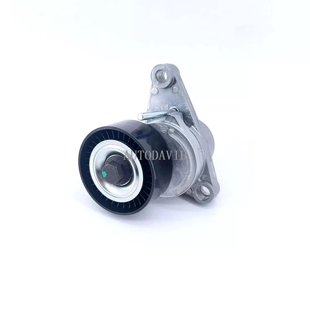 مجموعة بكرة الموتر لبيجو 206 207 307 سيتروين C2/3/4 بلاستيك OEM: 5751C3 5751G7 9652073680 1636996080 1611425280 9652073680 9685486880 HS01-017-040