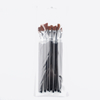 12pcs Artist Nylon Brush Set