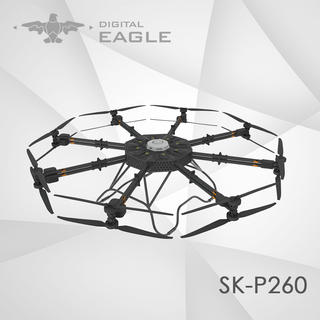 SK-P260