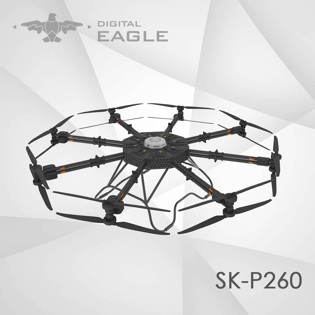 SK-P260