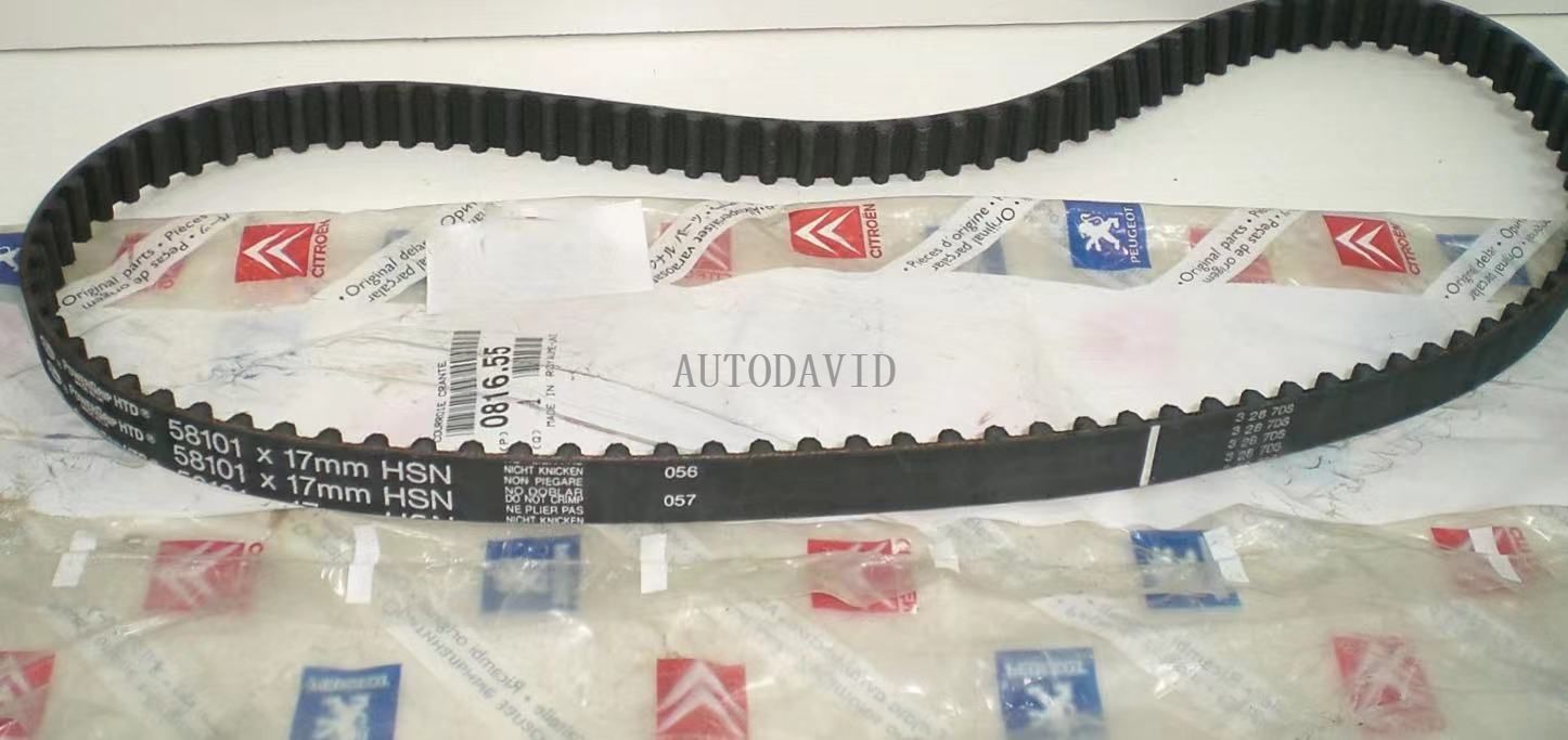 مؤقت اشتعال لبيجو 206 306 405 Us 1.4-1.6L,TU3/TU5 OEM: 081655 9608873580/96088735 HS01-011-001