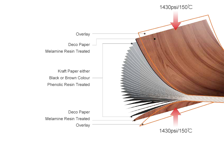 微信图片_20250311143416 微信图片_20250311143416
