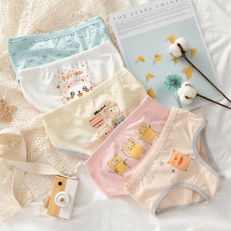 5 pcs in a pack girls briefs Underwear manufacturer preteen girl panty sets kids underwear set