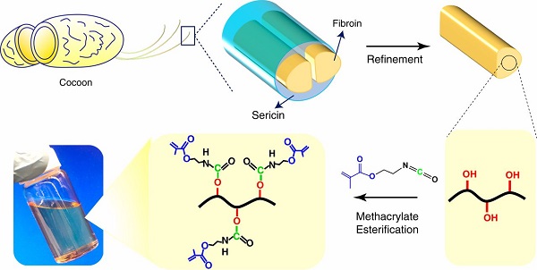 buy silk fibroin - ZHENYIBIO