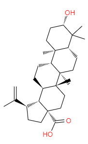 buy Betulinic Acid powder supplier-zhenyibio