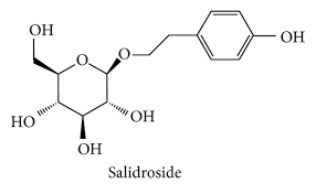 rhodiola salidroside price - ZHENYIBIO