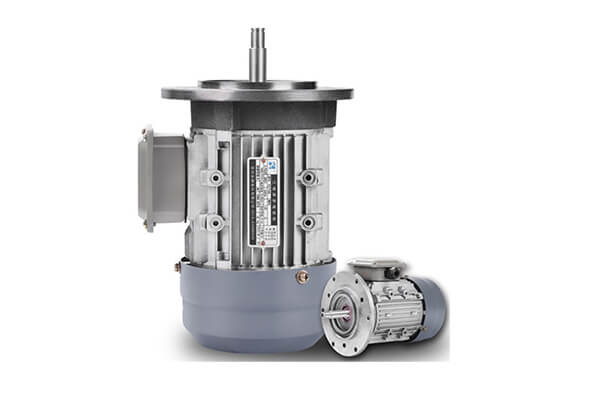 Aluminium 3 Phase AC Electric Motor 3-faset vekselstrømsmotor i aluminium