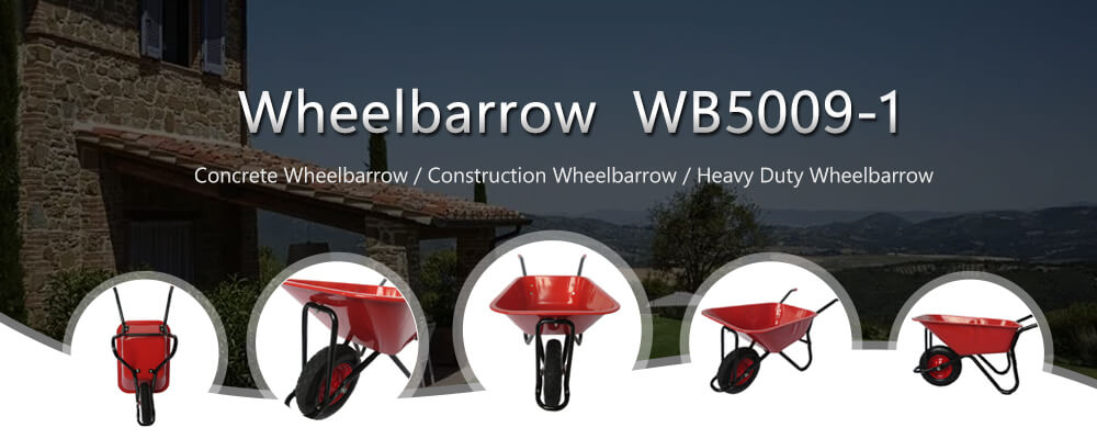 Wheelbarrow Carretilla