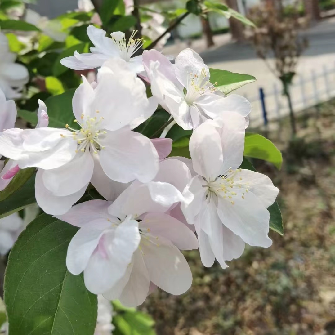 ed40c899267c697cdfb12b505e697b8