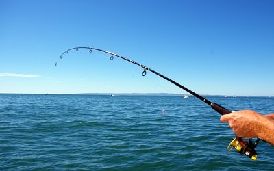 Fishing Picture