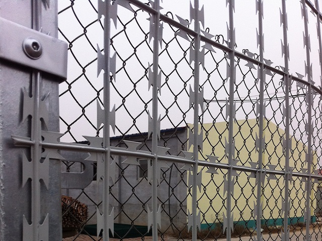 Welded Razor Mesh
