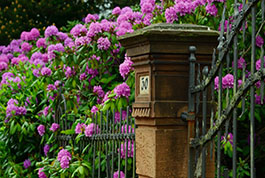 How to Beautify Houses at Low Cost?