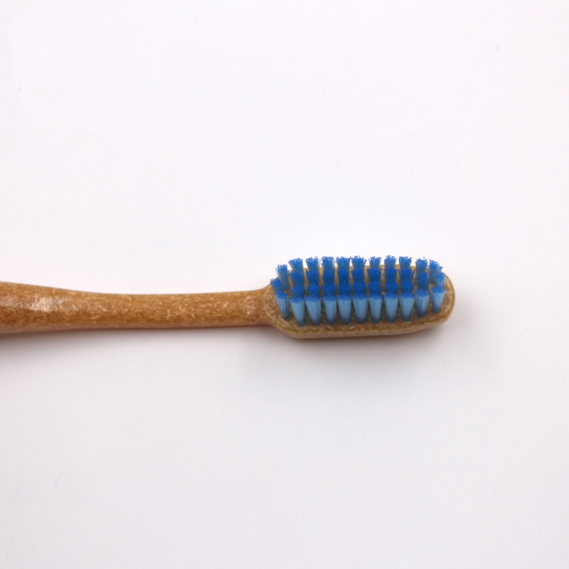 Bristles could be customized