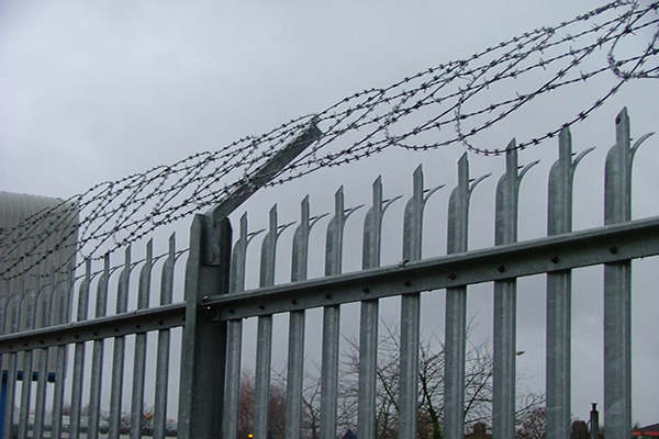D Type Palisade Fence