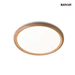 LED Ceiling light minimalism style 2025 New CE/ROHS ERP