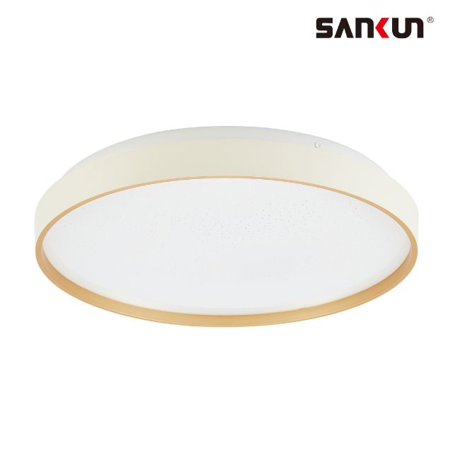 LED minimalism ceiling lights 36W 40W 50W lamp CE/ROHS