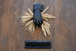 Several Knockers to Beautify Door