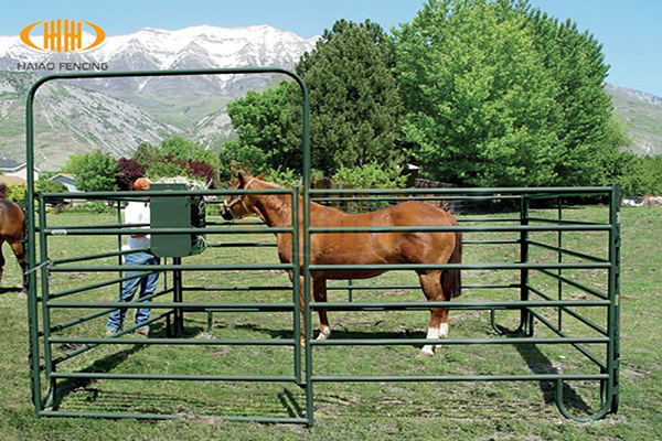 Horse Panel and Stable