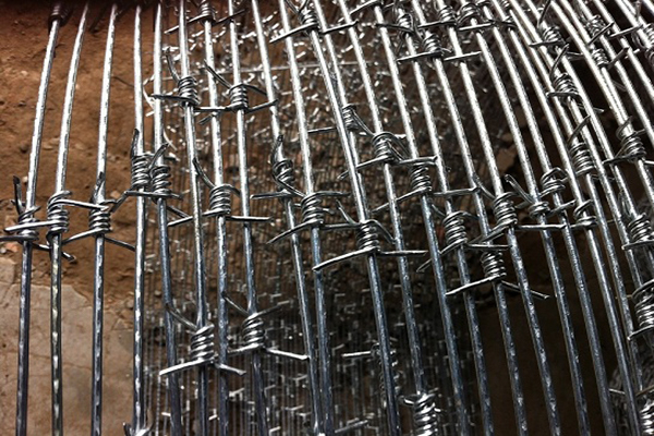 Concertina Barbed Wire