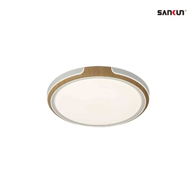 LED Ceiling light minimalism style 2025 New CE/ROHS ERP