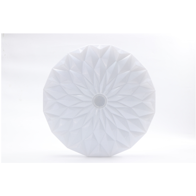 LED flower Ceiling light MODERN 40W/50W