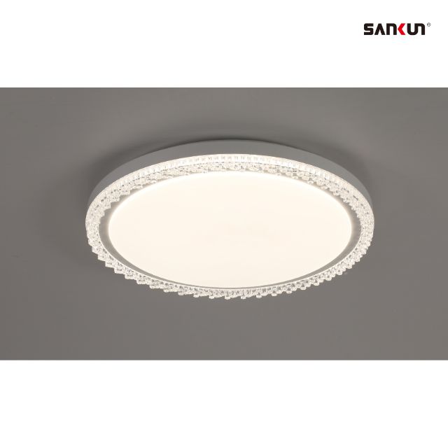 LED decorartion Ceiling light 2025 New CE/ROHS ERP