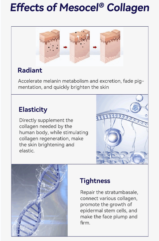 Effect Mesocel Type Ⅲ Collagen Injection