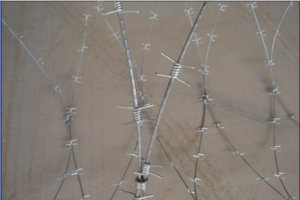 Concertina Barbed Wire