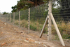 Welded Mesh Roll Fence