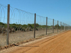 Flat Razor Wire