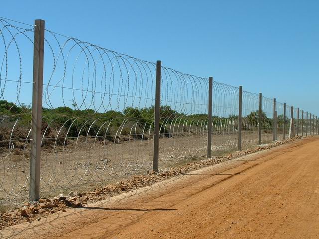 Flat Razor Wire