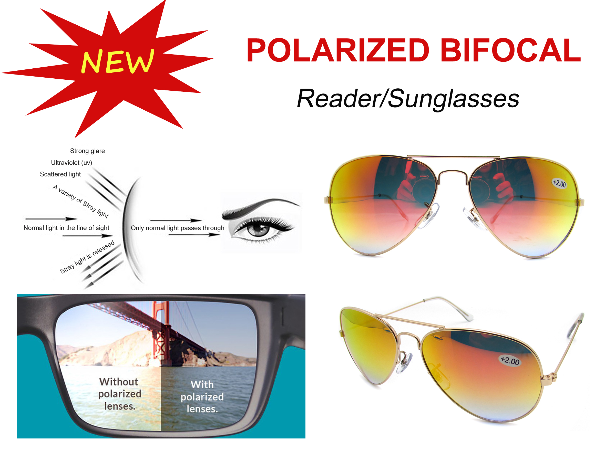 Polarized bifocal readers/sunglasses