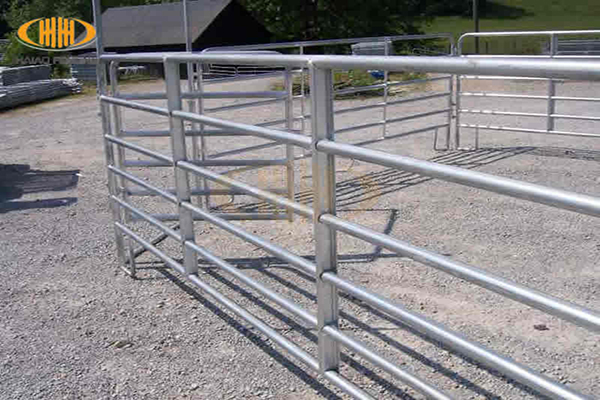 Horse Panel and Stable