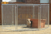 Dog Kennel