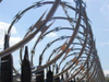 HDG Razor Wire