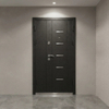 Premium Steel Door for Russia Market High Security Main Entry Door