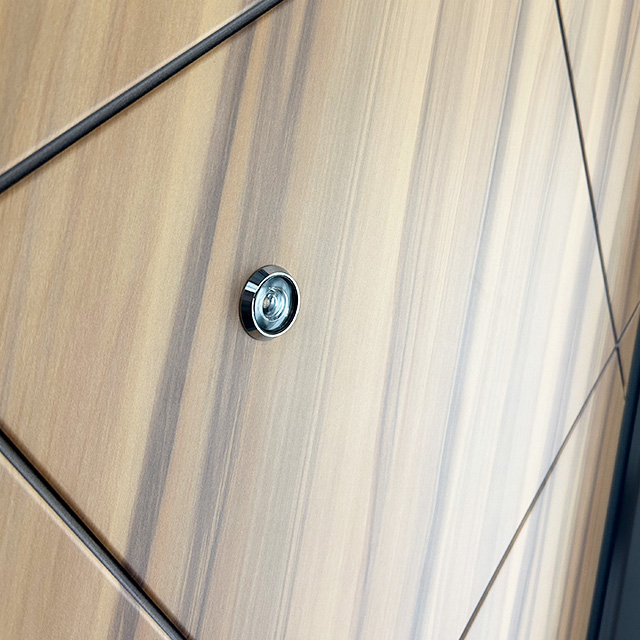 High Quality Customized Steel Exterior Safety Door for Home