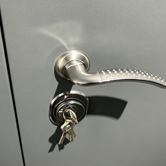 Modern Luxury Customized Steel Security Entry Door Main Door for Apartment