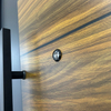 Luxury Customized Security Entry Front Steel Door Main Door for Buildings
