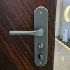 Double Color Security Steel Door