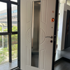 Modern Russia Door Luxury Customized Main Door for Apartment