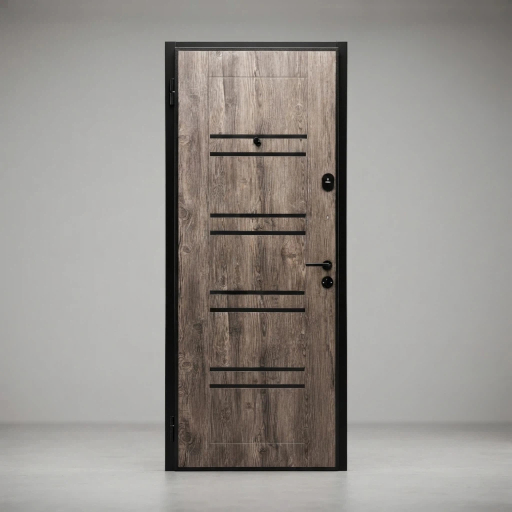 Russia Steel Door Modern Exterior Hot sale Design Single Door
