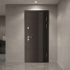 High Performance Russia Steel Door Secure Main Entry Heavy Duty and Durable Construction