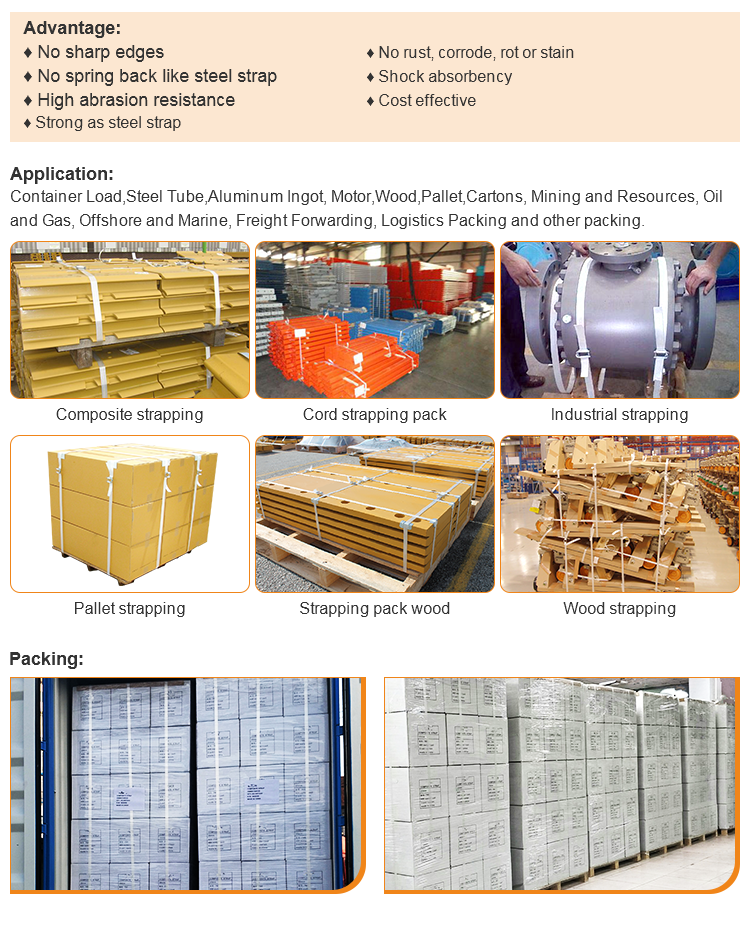 Toepassing met draadgesp